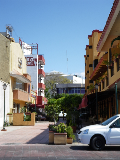 imgp0142 imgp0142