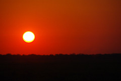 Sunset Tours (Rurrenabanque, Bolivia)