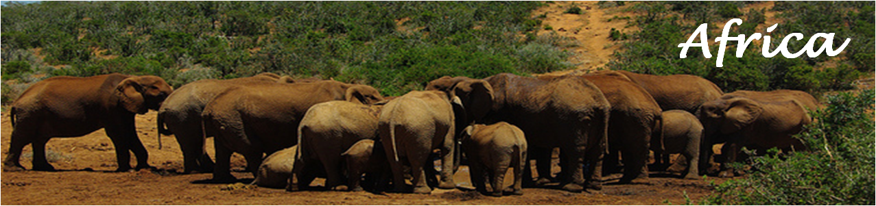 africa africa Destinations