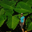 Giant Plants at Palenque Giant Plants at Palenque