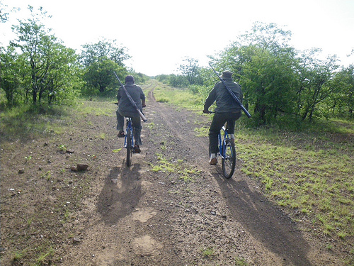 Biking in Kruger Park