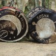 South African Drums