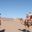 Mehdy and Louis rocking out on camelsv1