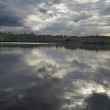 FloridaWilderness