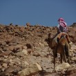 Mt Sinai in Egypt
