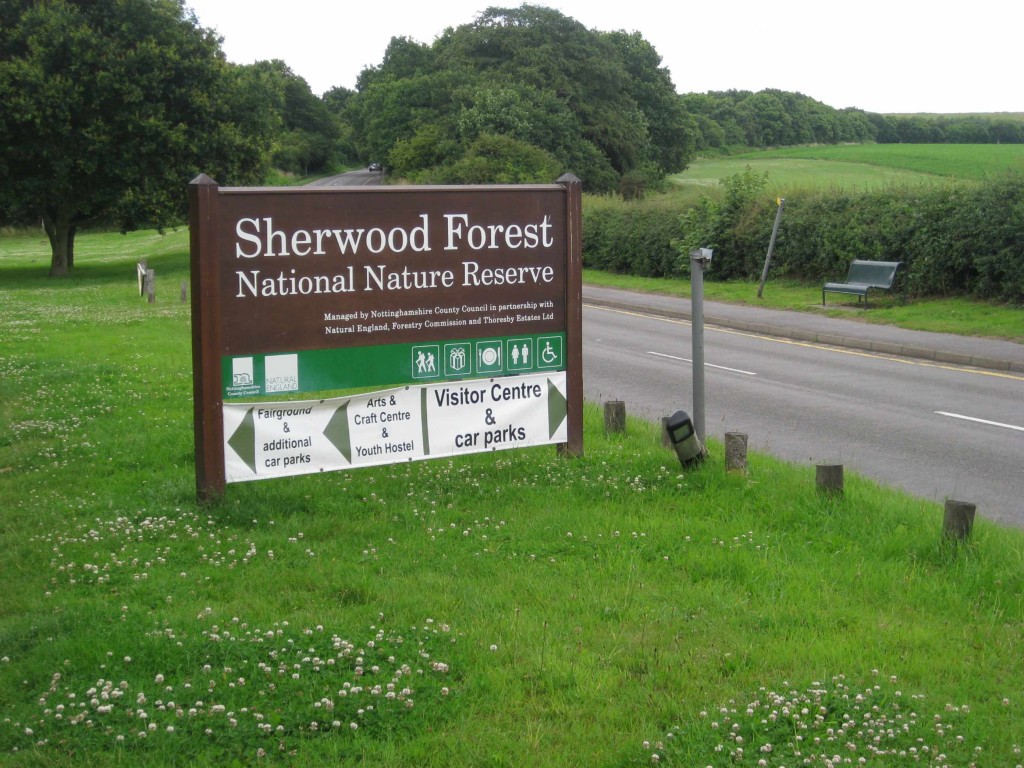 Sherwood Forest