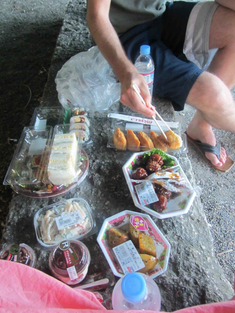 Budget picnic in Kyoto 768x1024 Three Things Travel Has Taught Me