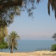 DeadSea