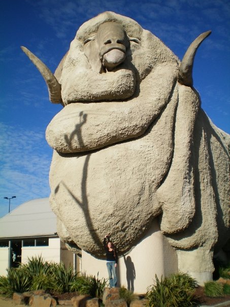 Big Merino, Australia