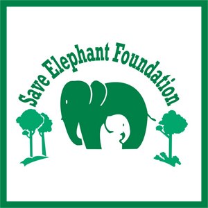 Save the elephant foundation